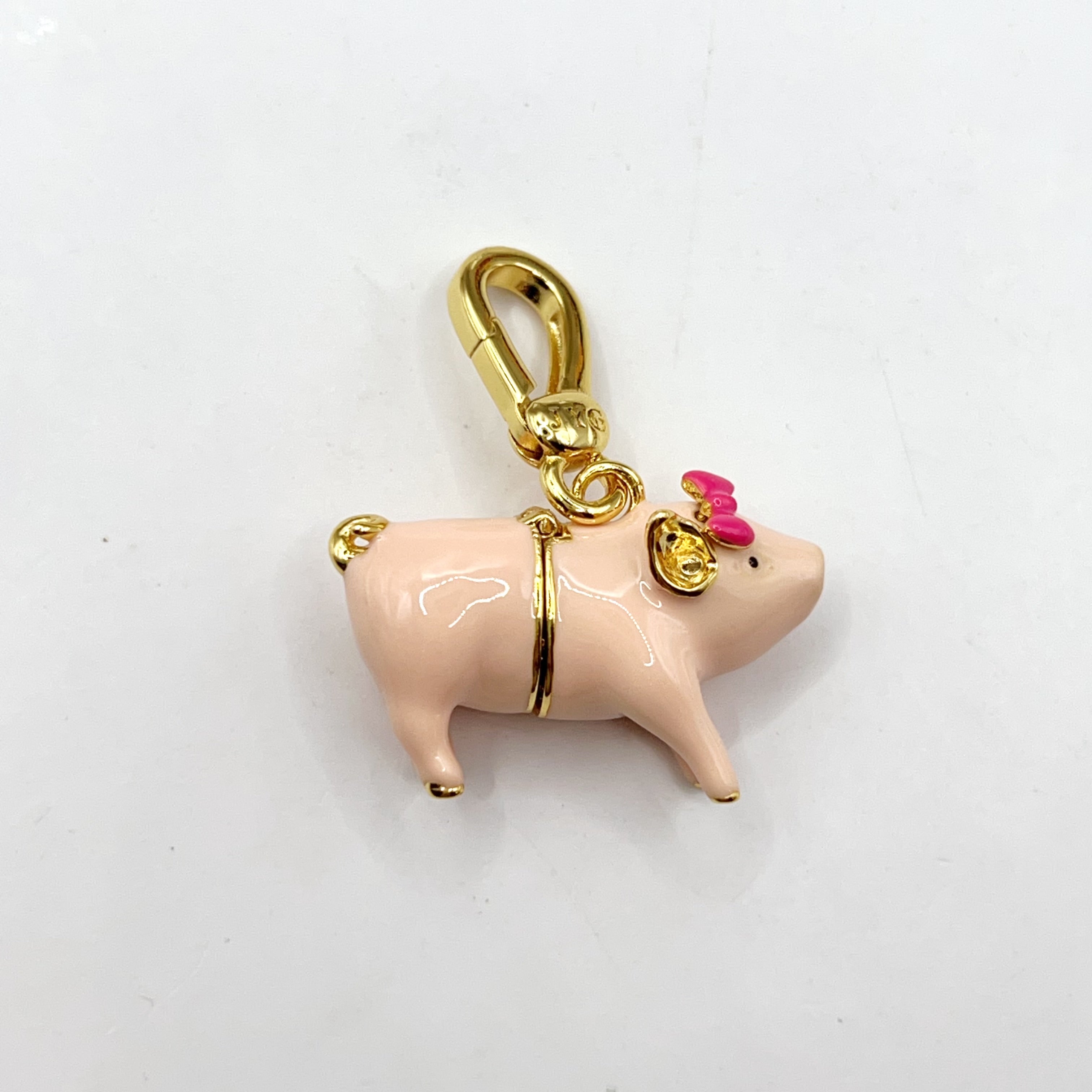 ARI006-ARI Dreams pig with money symbol charm
