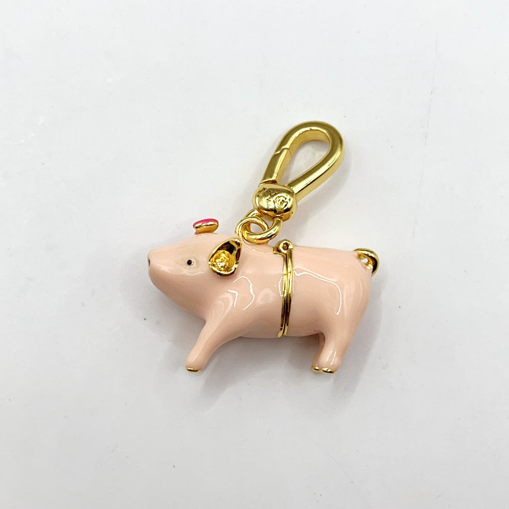 ARI006-ARI Dreams pig with money symbol charm