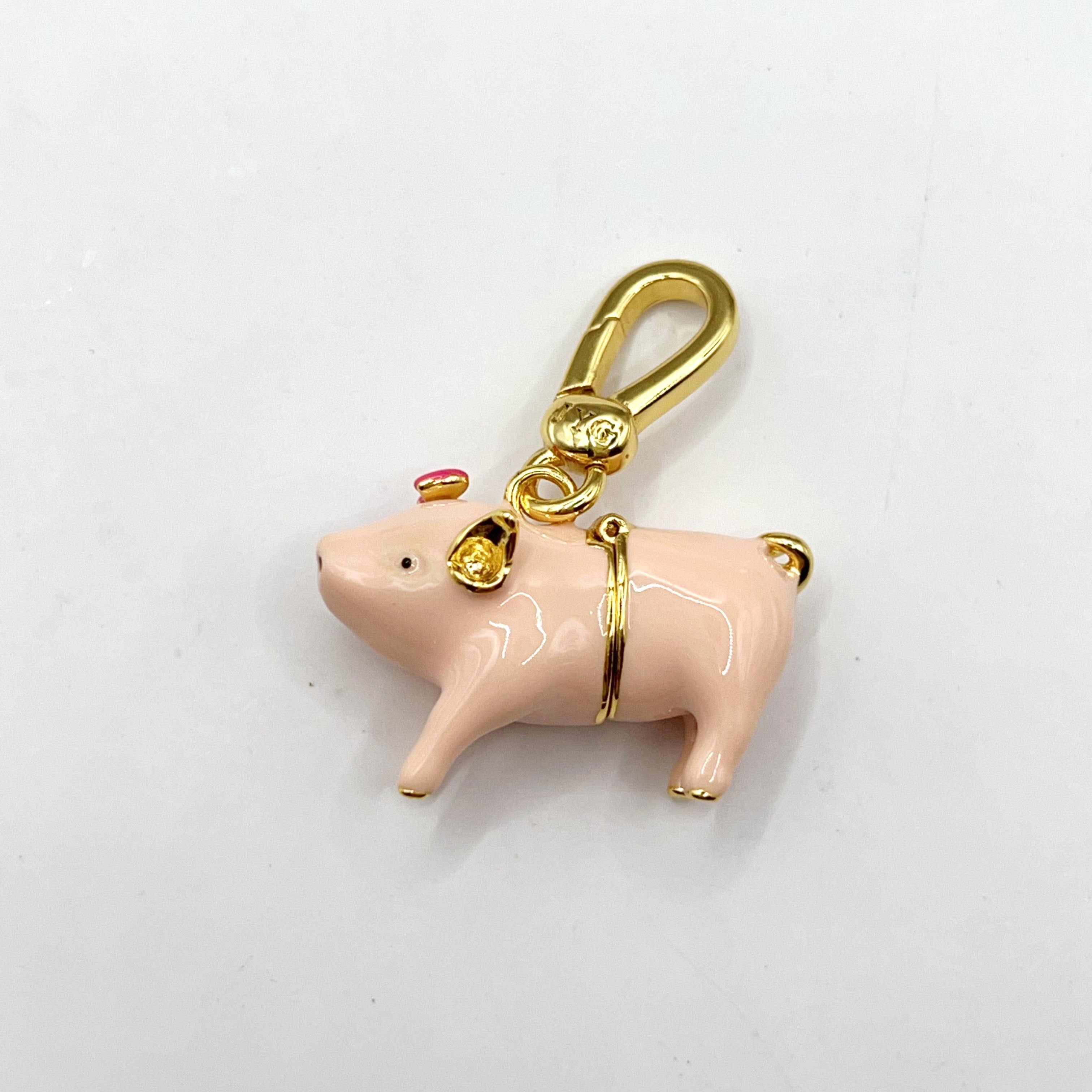 ARI006-ARI Dreams pig with money symbol charm