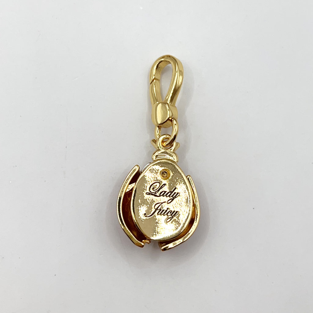 U08-Juicy Couture ladybug charm