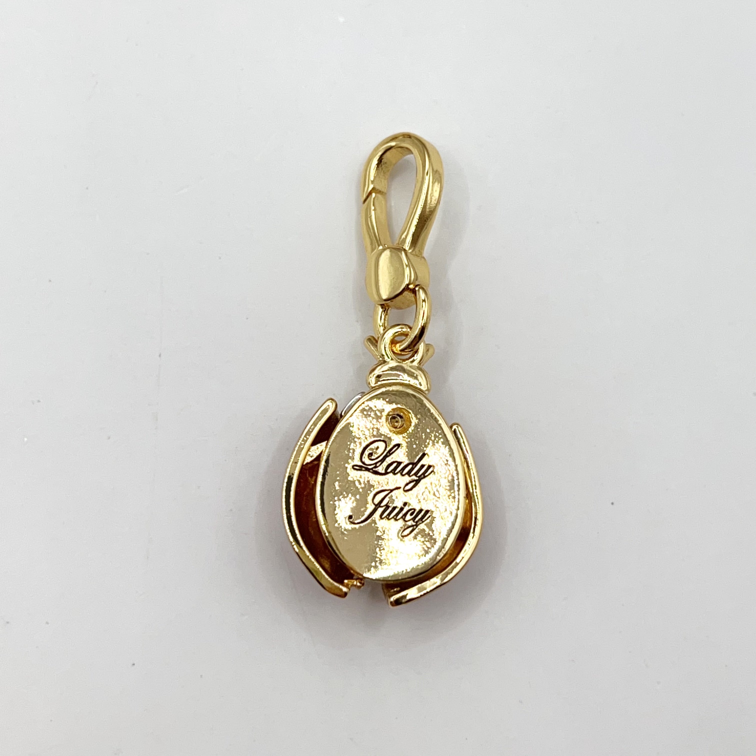 U08-Juicy Couture ladybug charm
